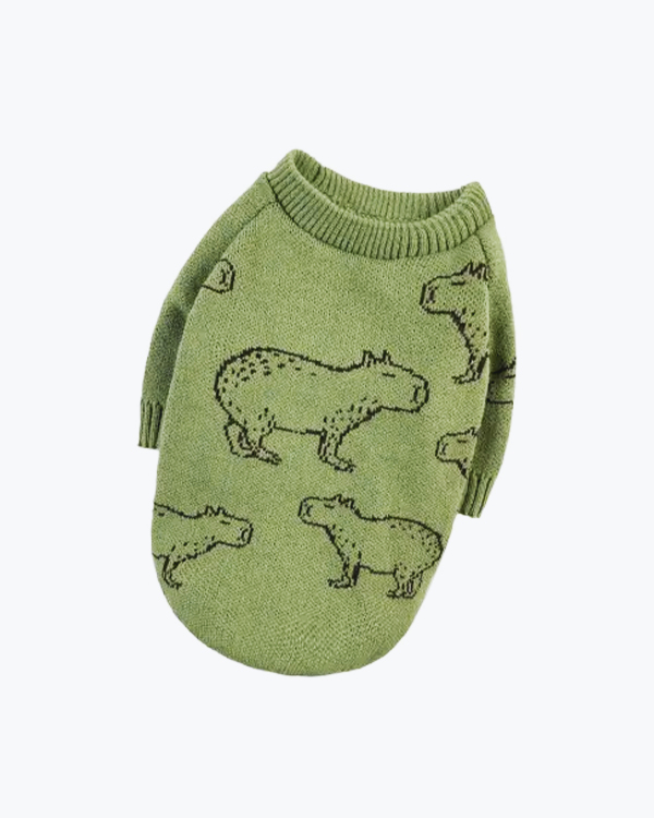 Светр Dogs Bomba Капібари, в'язаний, оливка, розмір №1