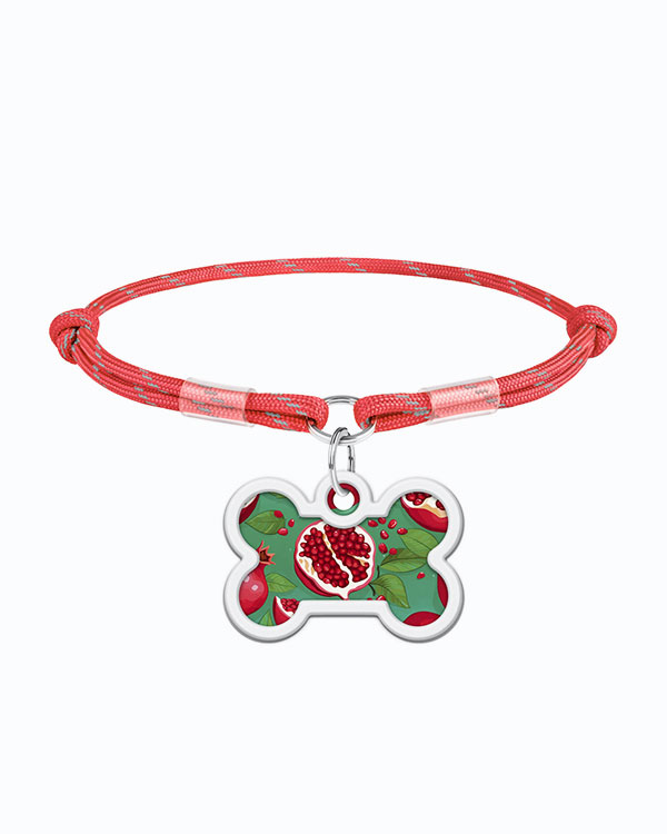 Комплект WAUDOG Smart ID шнурок з паракорду, червоний, розмір M + адресник з QR паспортом, малюнок Гранати