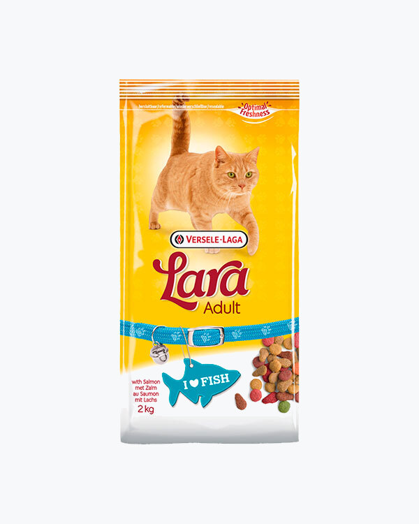 Сухий корм Lara Adult with Salmon для котів, з лососем, 2 кг
