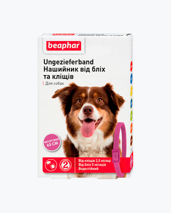 Ошийник Beaphar проти блох і кліщів для собак, фіолетовий, 65 см