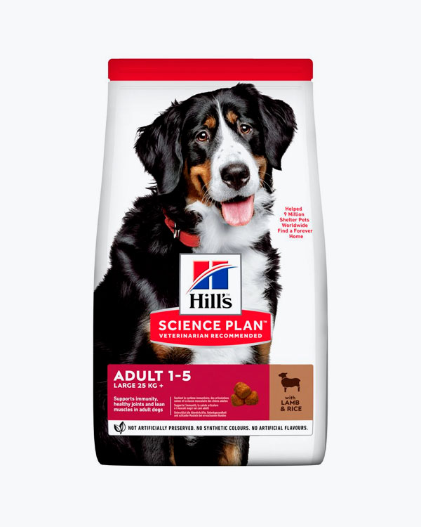 Сухий корм Hill's Science Plan Canine Large Breed, для собак великих порід, з ягнятини та рису, 14 кг