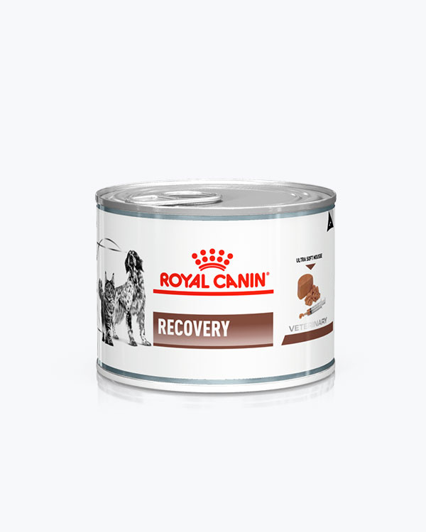 Консервований корм Royal Canin Recovery для котів і собак у період відновлення після хвороби, 195 г