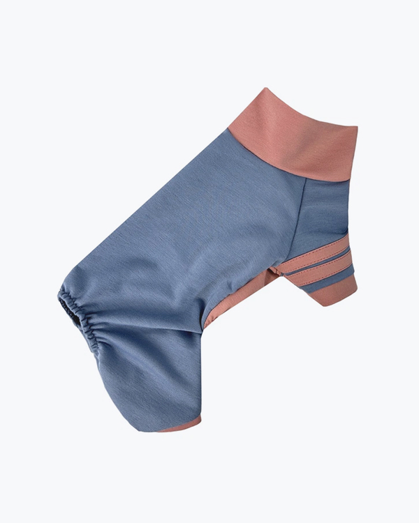 Костюм Dogs Bomba Спорт блакитно-рожевий, розмір №3