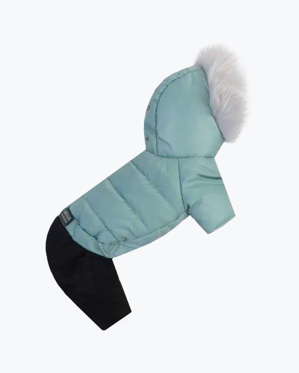 Зимовий комбінезон Dogs Bomba на хутрі, колір м'ята, розмір №7