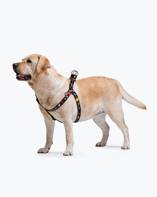 Шлея для собак WAUDOG Nylon з QR паспортом, малюнок NASA, розмір S (40-55), ширина 15 мм - фото 2