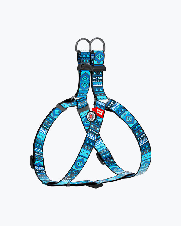 Шлея для собак WAUDOG Nylon с QR паспортом, рисунок Этно синий, размер M (50-75), ширина 20 мм