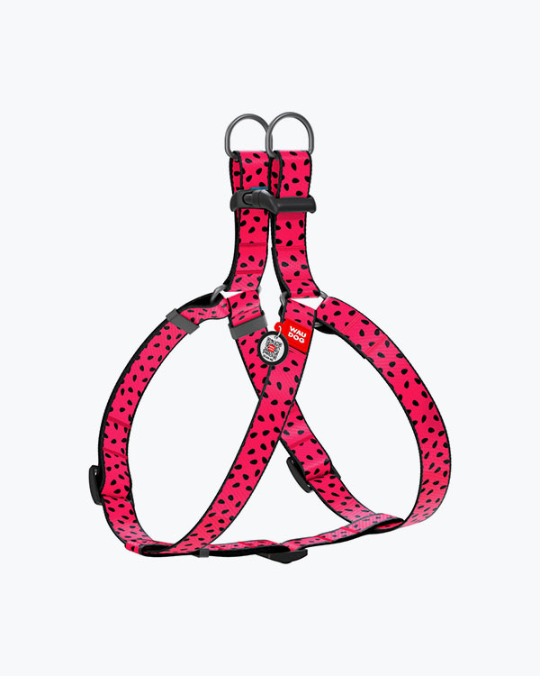 Шлея для собак WAUDOG Nylon с QR паспортом, рисунок Арбуз, размер S (40-55), ширина 15 мм.