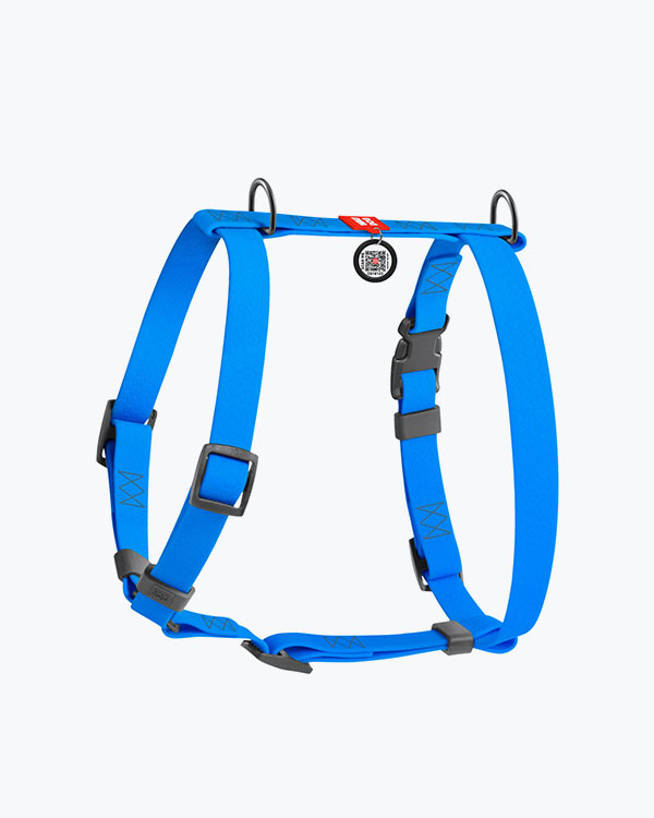 Шлея для собак WAUDOG Waterproof анатомическая Н-образная, с QR паспортом, синяя, размер XL