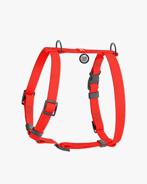 Шлея для собак WAUDOG Waterproof анатомическая Н-образная, с QR паспортом, красная, размер S