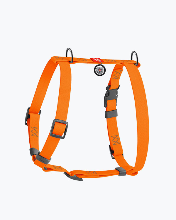 Шлея для собак WAUDOG Waterproof анатомічна Н-подібна, з QR паспортом, помаранчева, розмір XL