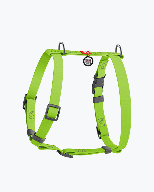 Шлея для собак WAUDOG Waterproof анатомическая Н-образная, с QR паспортом, салатовая, размер L