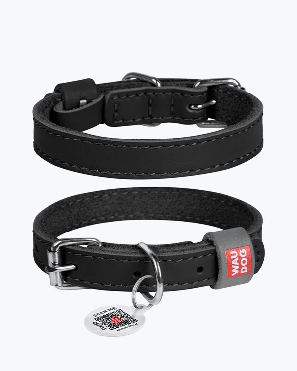 Нашийник WAUDOG Classic шкіряний, для собак, чорний, XXS (19-25 см)