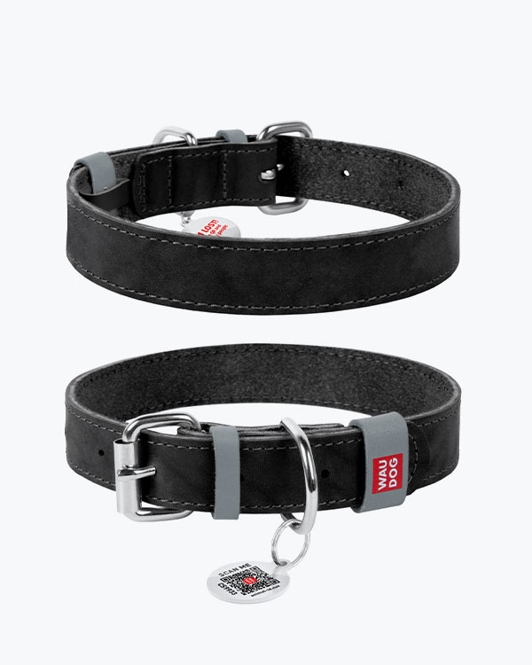 Нашийник WAUDOG Classic шкіряний, для собак, чорний, XL (46-60 см)