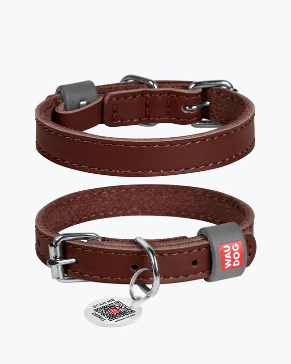 Нашийник WAUDOG Classic шкіряний, для собак, коричневий, XXS (19-25 см)