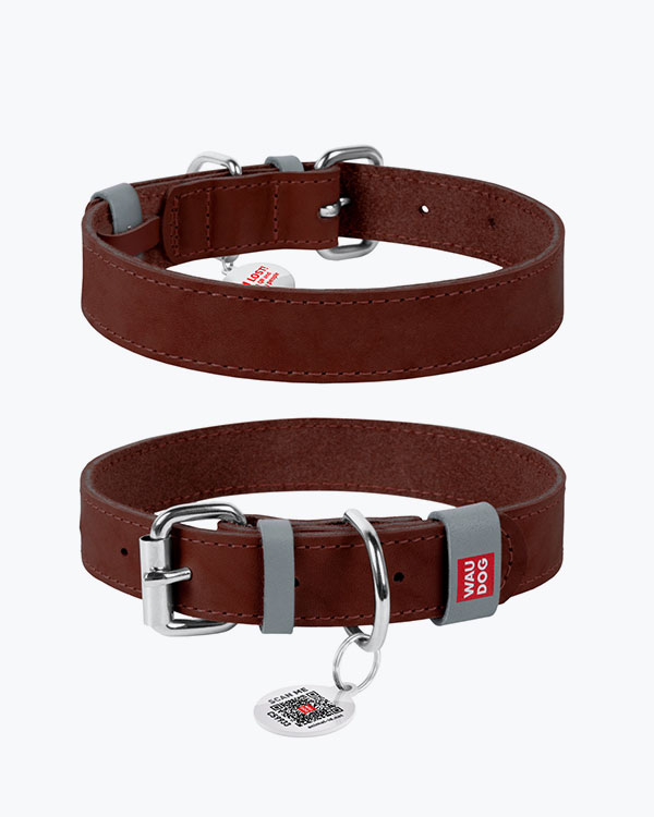 Ошейник WAUDOG Classic кожаный, для собак, коричневый, S (27-36 см)