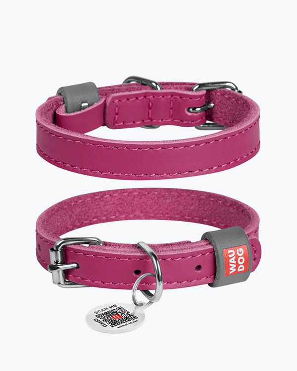Ошейник WAUDOG Classic кожаный, для собак, розовый, XS (21-29 см)