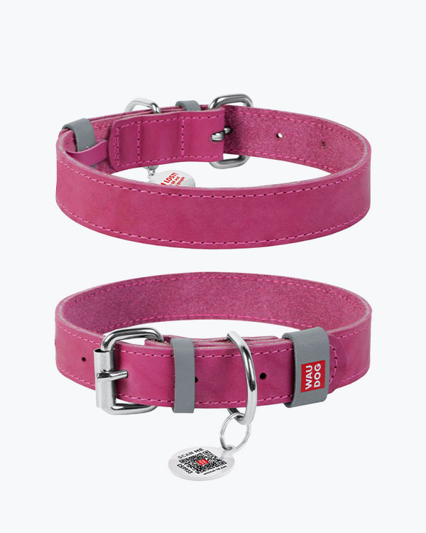 Ошейник WAUDOG Classic кожаный, для собак, розовый, S (27-36 см)