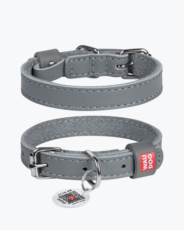 Ошейник WAUDOG Classic кожаный, для собак, серый, XS (21-29 см)