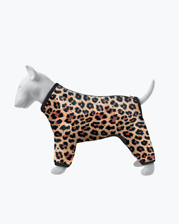 Ветровка для собак WAUDOG Clothes, рисунок 