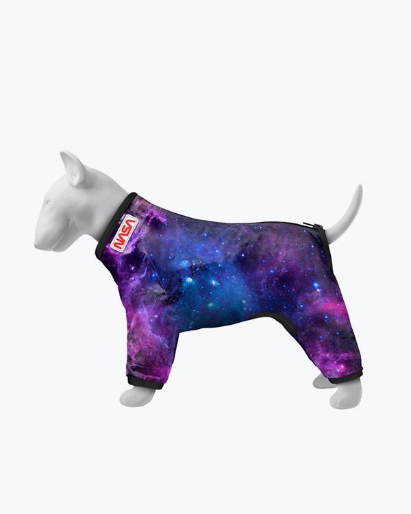 Вітровка для собак WAUDOG Clothes, малюнок 