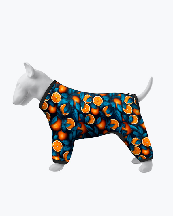 Вітровка для собак WAUDOG Clothes, малюнок 