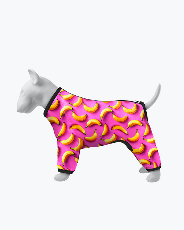 Вітровка для собак WAUDOG Clothes, малюнок 