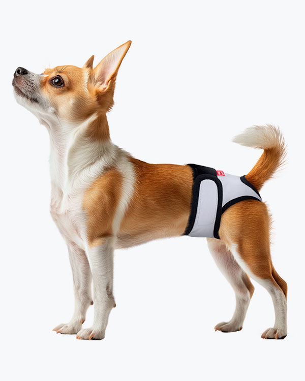 Труси WAUDOG Vet гігієнічні для котів та собак на липучках, сірі, розмір L - фото 2