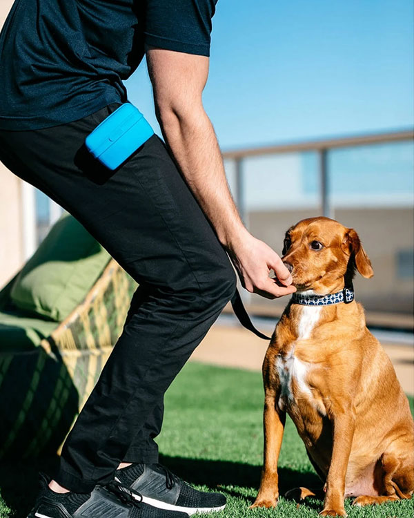 Контейнер для ласощів Dexas Pooch Pouch силіконовий, з кліпсою на пояс, блакитний - фото 3
