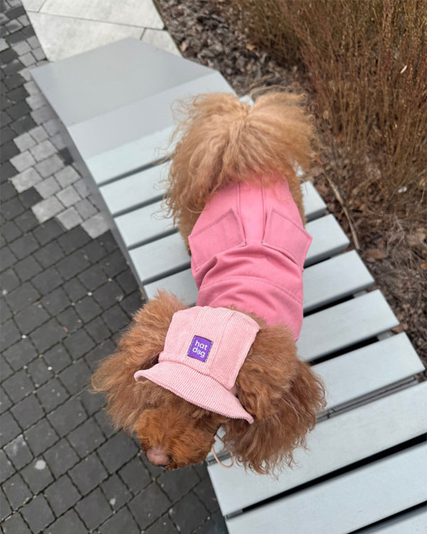 Панама Hat-Dog вельветова для собак, Пудрова, розмір ХS - фото 3